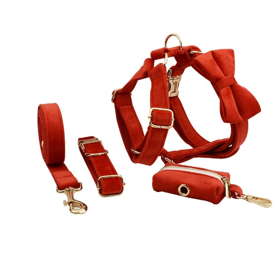 Set Pettorina ad H per Cani Modello "Velvet"