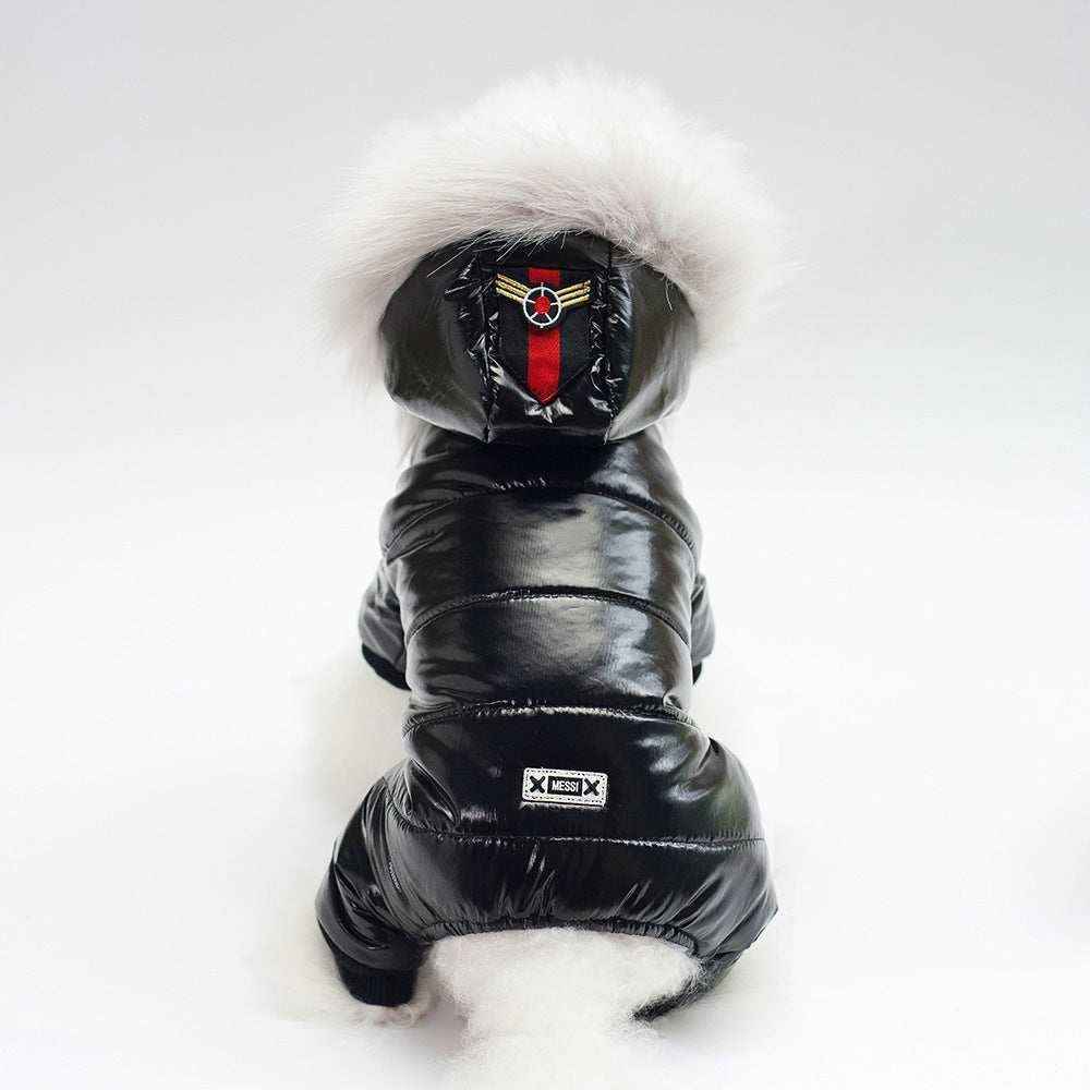 Small white dog wearing shiny black puffer jacket with fur-lined hood and patches