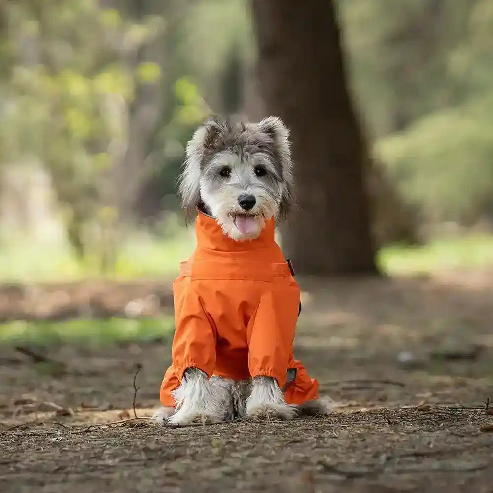 Impermeabile per Cani con Pettorina Riflettente "Playtime" Regolabile by Dog Moda