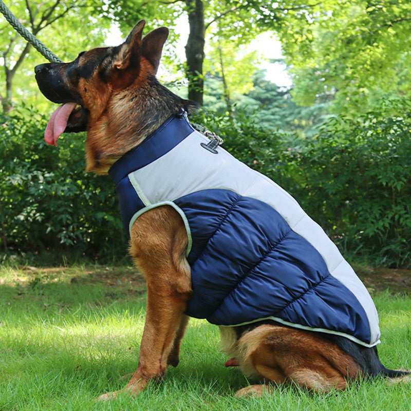 Wasserdichter Hundemantel „Crombie“ – Schutz und Komfort für mittelgroße und große Rassen