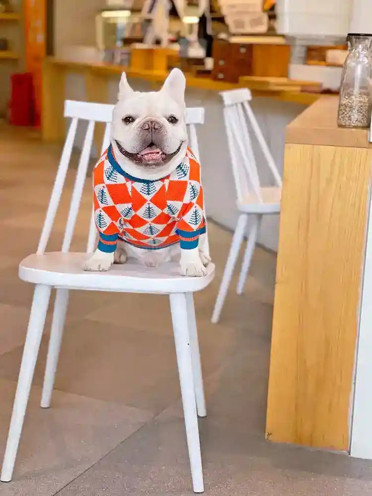 Maglioncino per Cani "Natale" – Stile Festivo e Massimo Comfort! ❄️ by Dog Moda