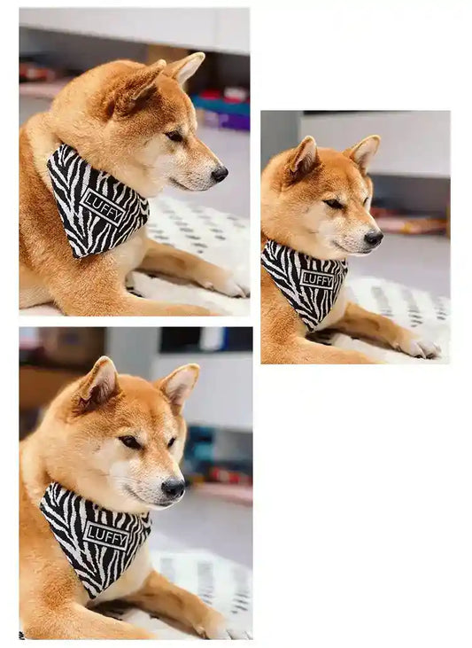 Bandana Personalizzata per Cani con Nome Fantasia Zebrata by Dog Moda