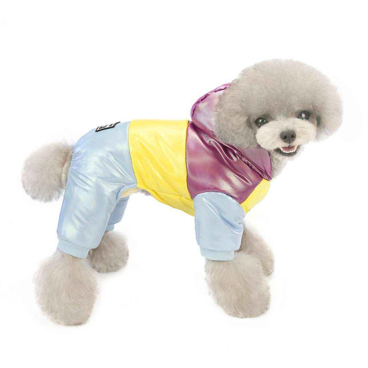 Cappotto per Barboncino Toy "Dadagou" | Eleganza e Comfort a Quattro Zampe by Dog Moda