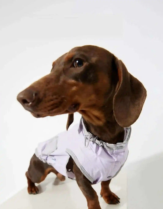 Impermeabile Smanicato per Cani Easy - Antipioggia e Antivento