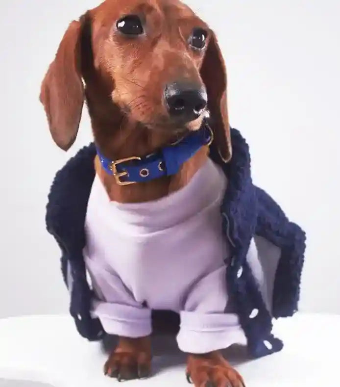 Cappotto Cani Bassotto Waffle Pile Lungo Smanicato by Dog Moda