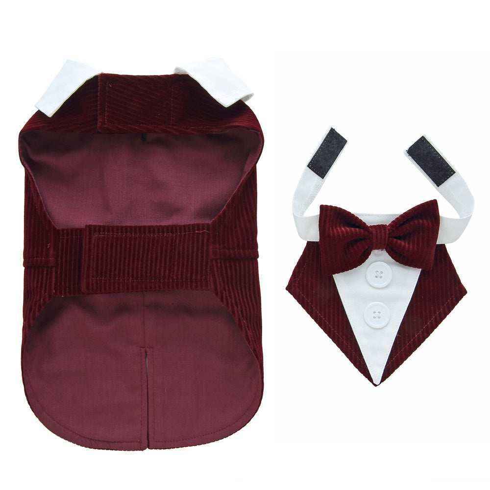 Burgundy corduroy pet tuxedo with white collar, buttons, and matching bow tie collar set