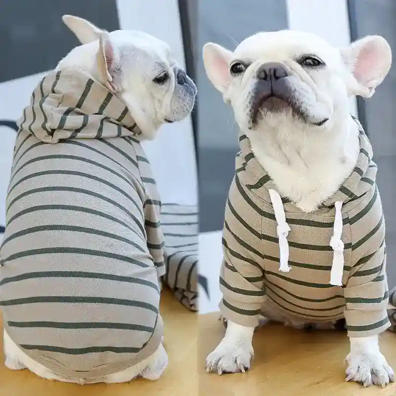 Maglietta per cani con cappuccio "Love Boat" by Dog Moda