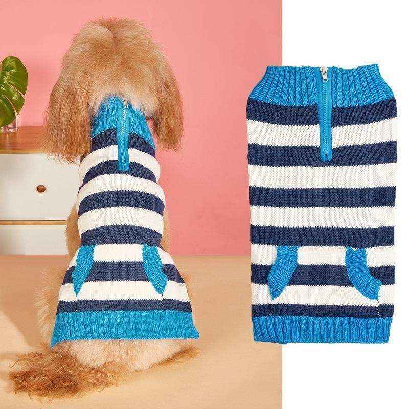 Small dog wearing blue and white striped knitted sweater with zipper and pockets