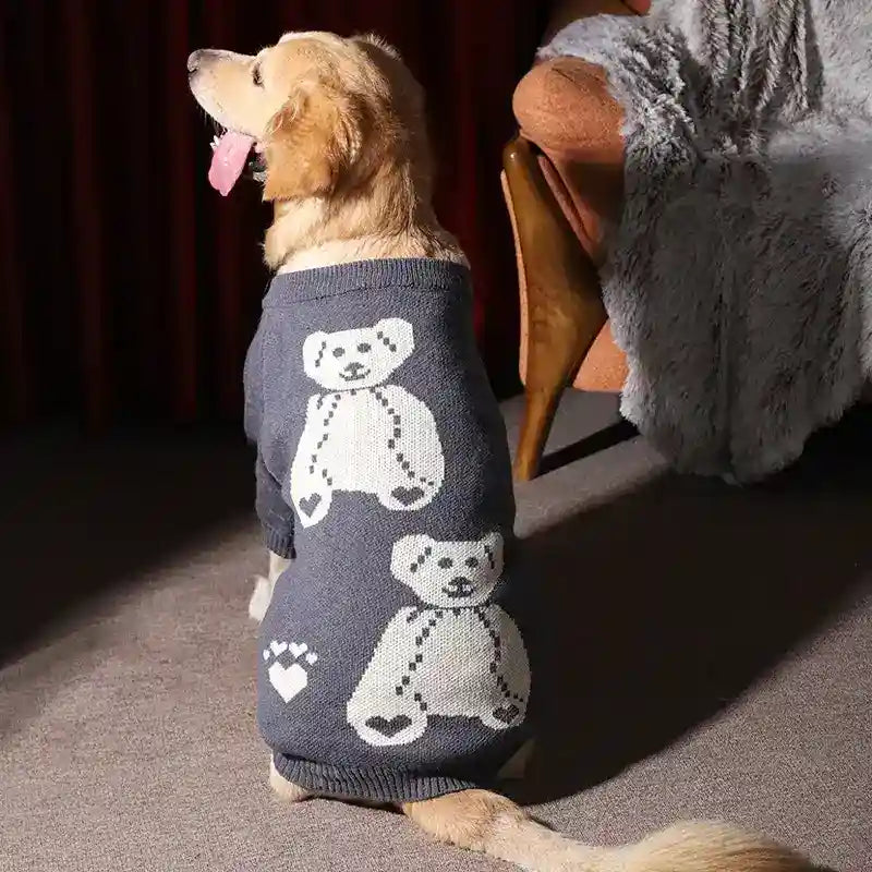 Golden retriever dog wearing a gray sweater with white teddy bear patterns sitting indoors next to a chair with a furry blanket