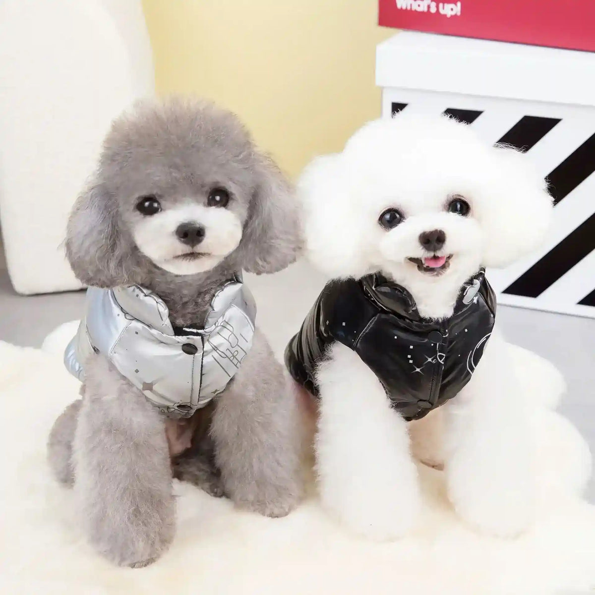 Cappotto Cani GigaCoat Smanicato - Taglie Grandi by Dog Moda