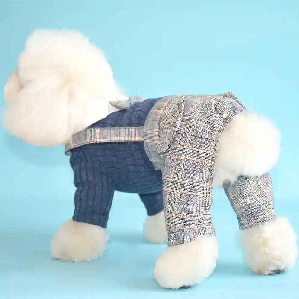 Fluffy white dog wearing blue cable knit sweater with plaid pants against light blue background