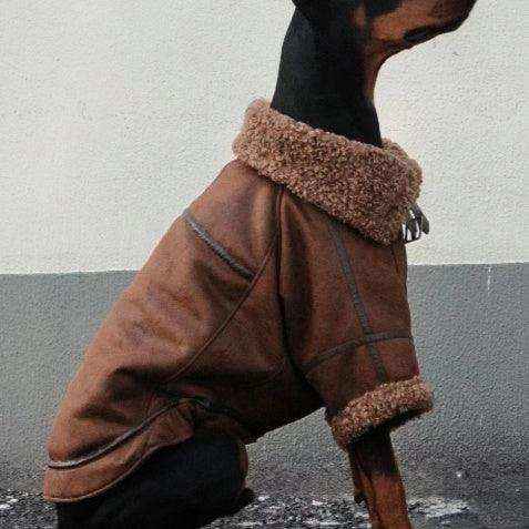 Giacca Jeans per Cani con Collo in Pile - Caldo e Stiloso by null