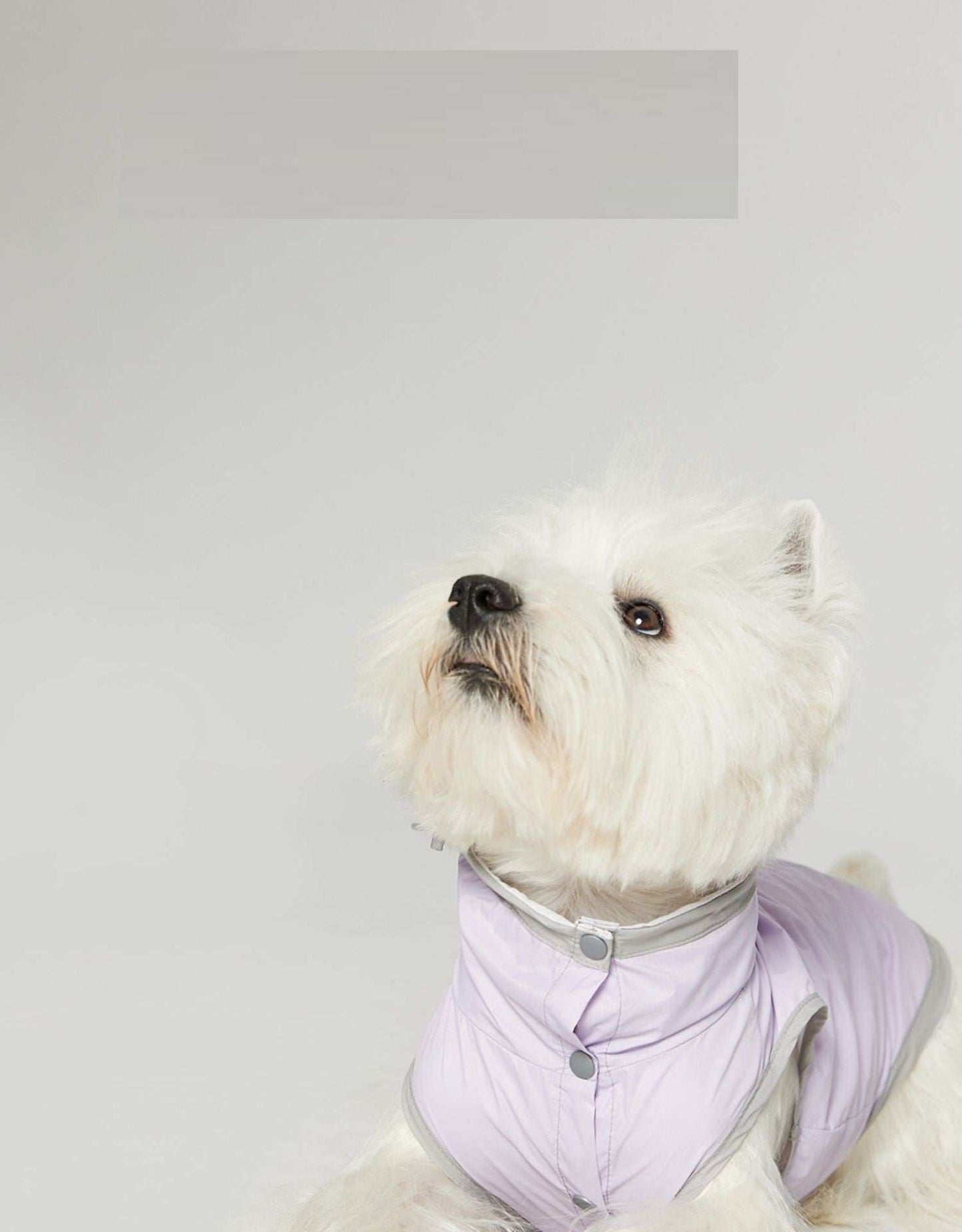 Easy Vest Raincoat for Dogs - Rain and Windproof