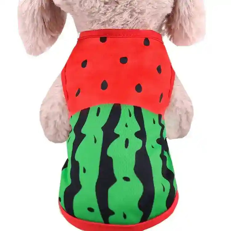 Maglietta per cani smanicata "Little Teddy" by Dog Moda