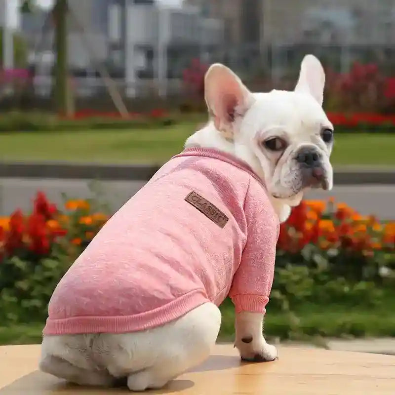 Maglioncino per Cani in Tinta Unita – Modello "Classic" - Dog Moda