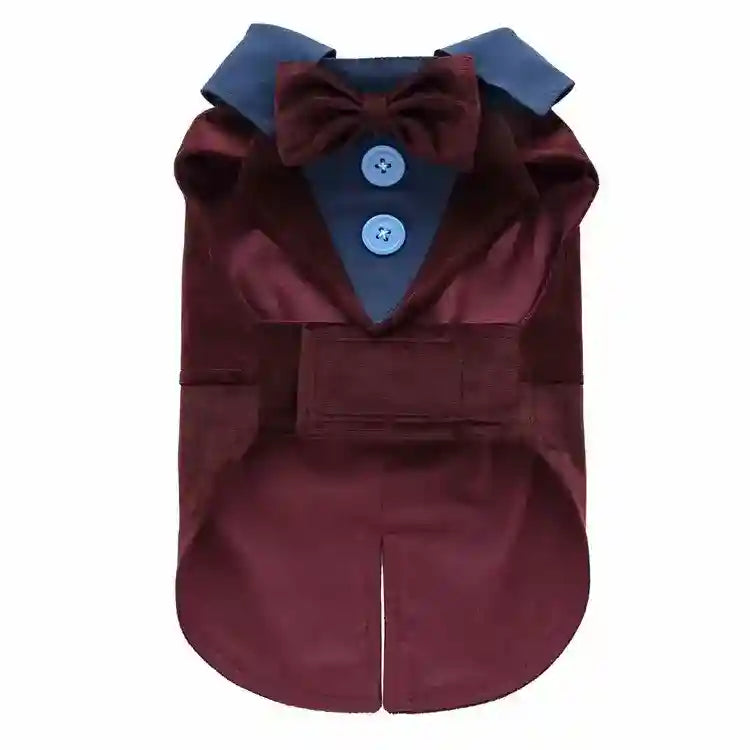 burgundy dog tuxedo with blue collar, bow tie, and buttons, formal pet clothing