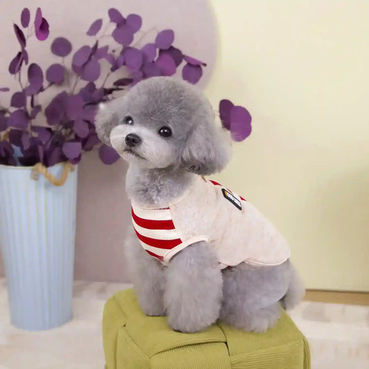 Maglia Pettorina Righe per Cani Piccoli - Modello Good Luck Fashion by null