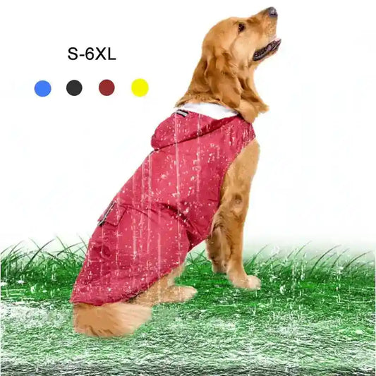 Golden retriever wearing red waterproof dog raincoat sitting on grass with water splashing