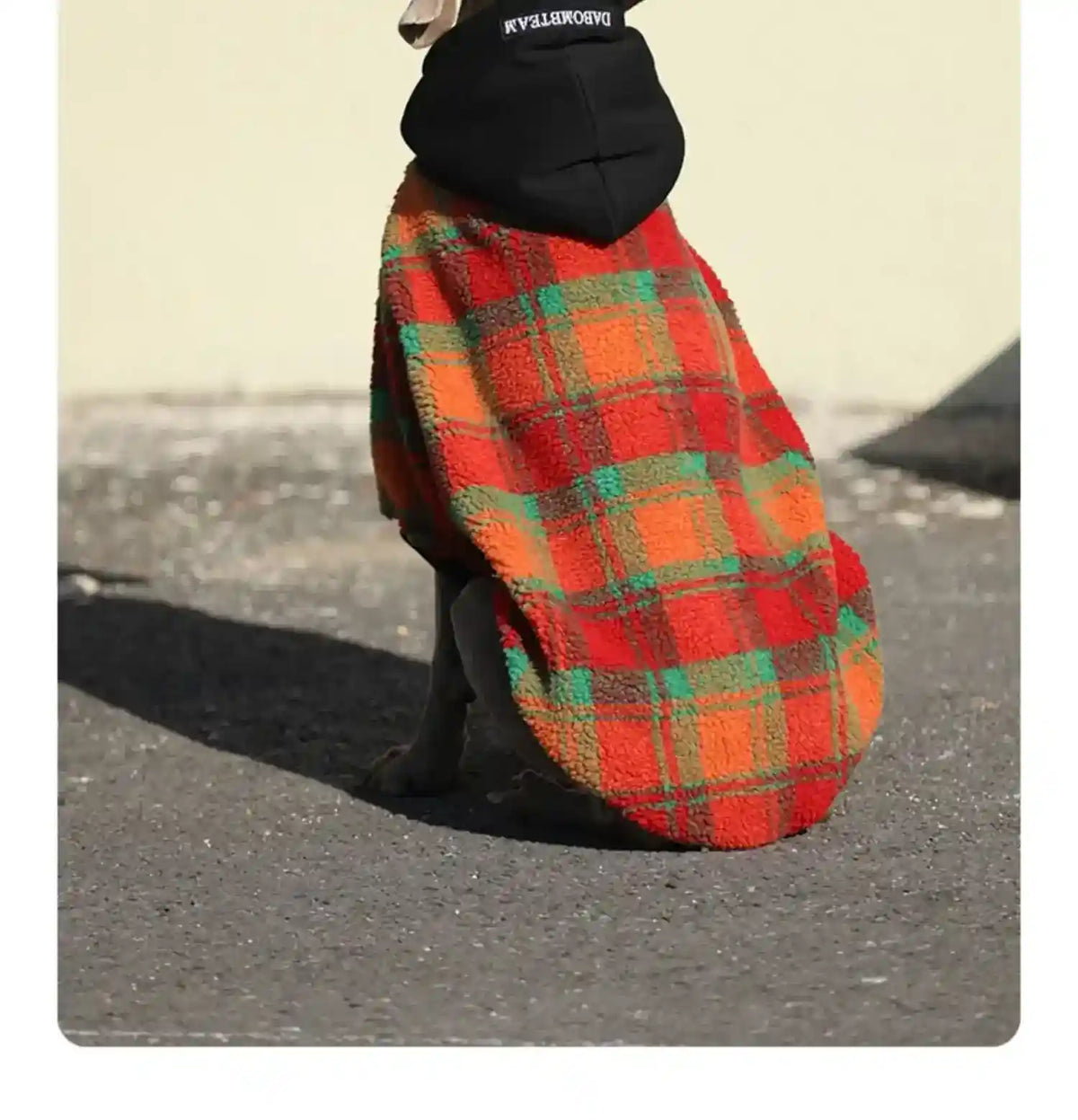 Cappotto per Cani con Cappuccio in Pile Caldo - Imbottito by Dog Moda