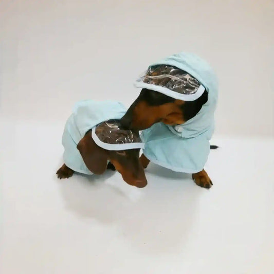Impermeabile per bassotto Yumi con cappuccio e visiera trasparente by Dog Moda
