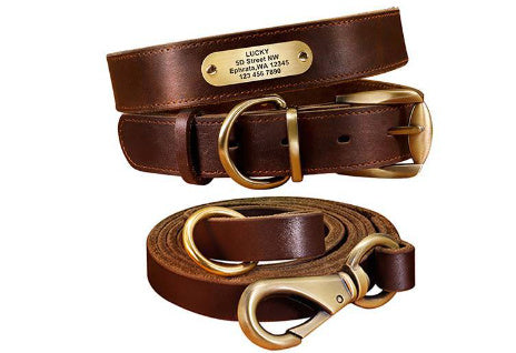 Personalized Leather Collar with Tag for Medium and Large Dogs