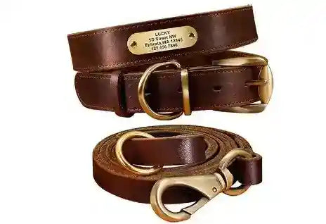 Collare in Cuoio Personalizzato con Targhetta per Cani Medi e Grandi by Dog Moda