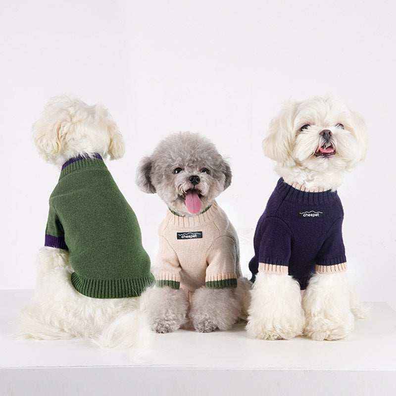 Three small dogs in cozy knit sweaters in green, beige, and navy blue sitting on white background