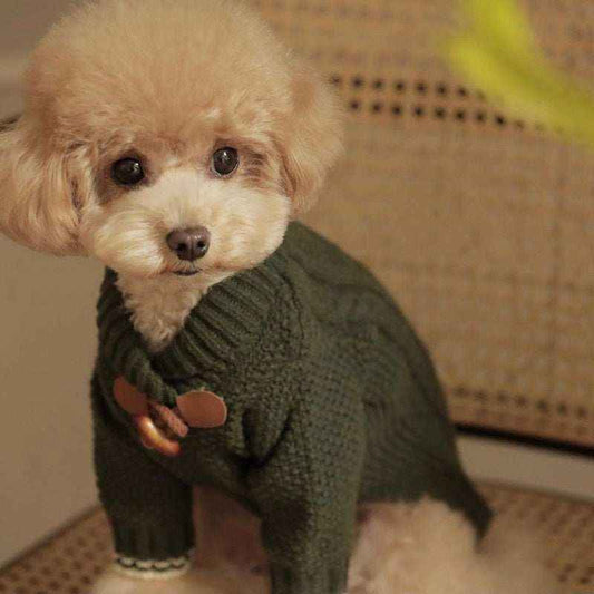 Maglione per Maltipoo con Lavorazione a Trecce e Bottone in Legno by Dog Moda