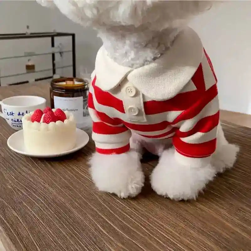 Maglia a Righe per Pomerania, Barboncino e Cani di Piccola Taglia - Abbigliamento Elegante per Cani e Gatti by Dog Moda