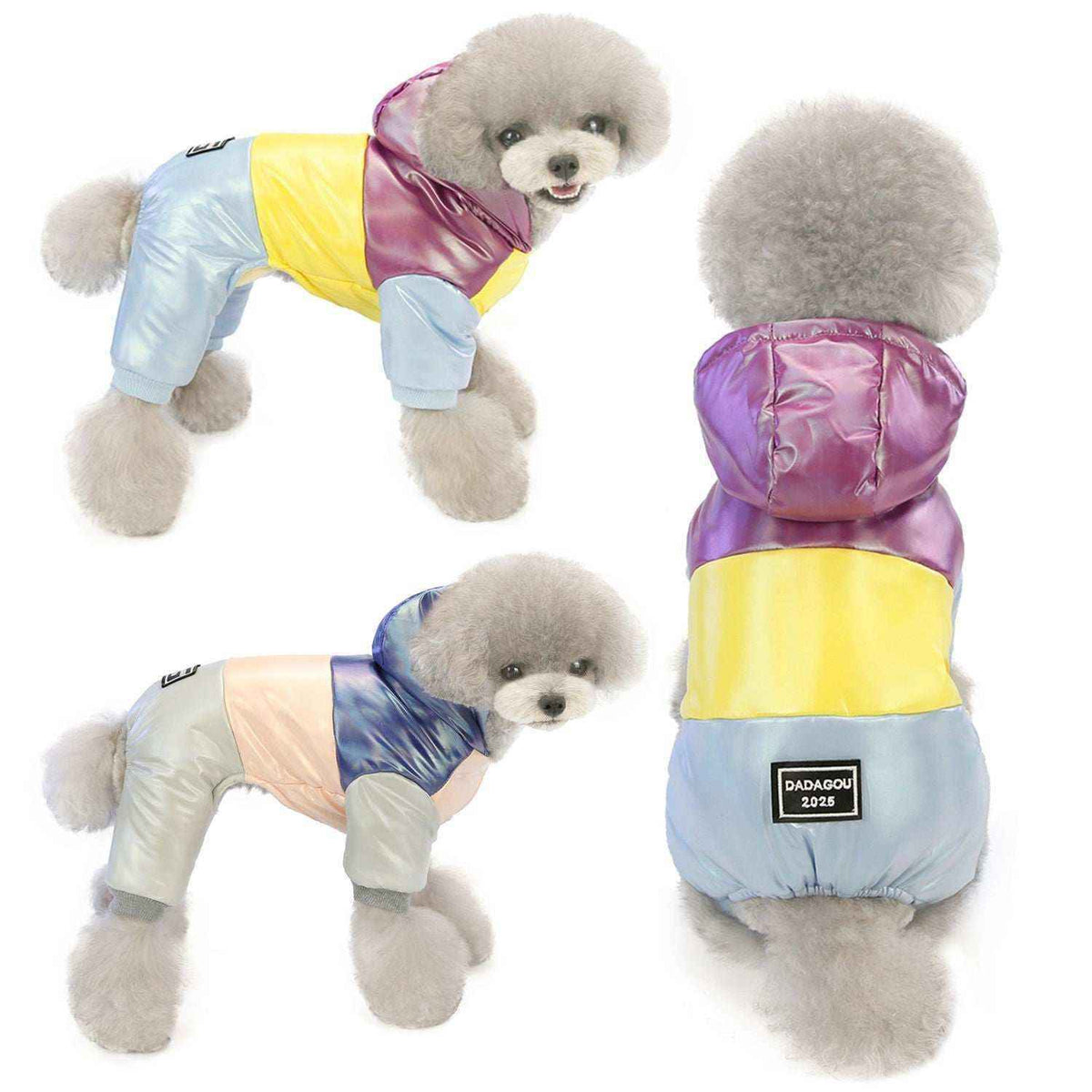 Cappotto per Barboncino Toy "Dadagou" | Eleganza e Comfort a Quattro Zampe by Dog Moda