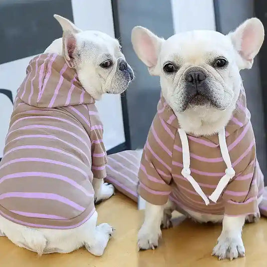 Maglietta per cani con cappuccio "Love Boat" by Dog Moda
