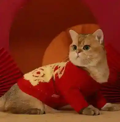 Maglione per Gatti "Pearl" – Comfort, Morbidezza e Stile! ✨ by Dog Moda