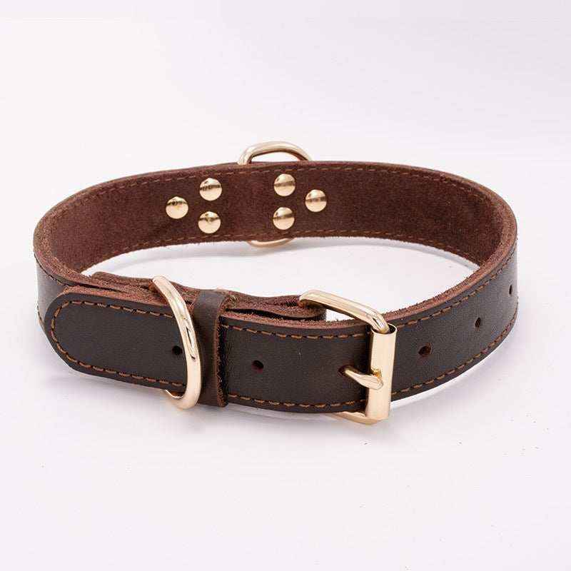 Collare in Cuoio per Cani "Pawstrip" con Borchie - Elegante e Resistente by Dog Moda