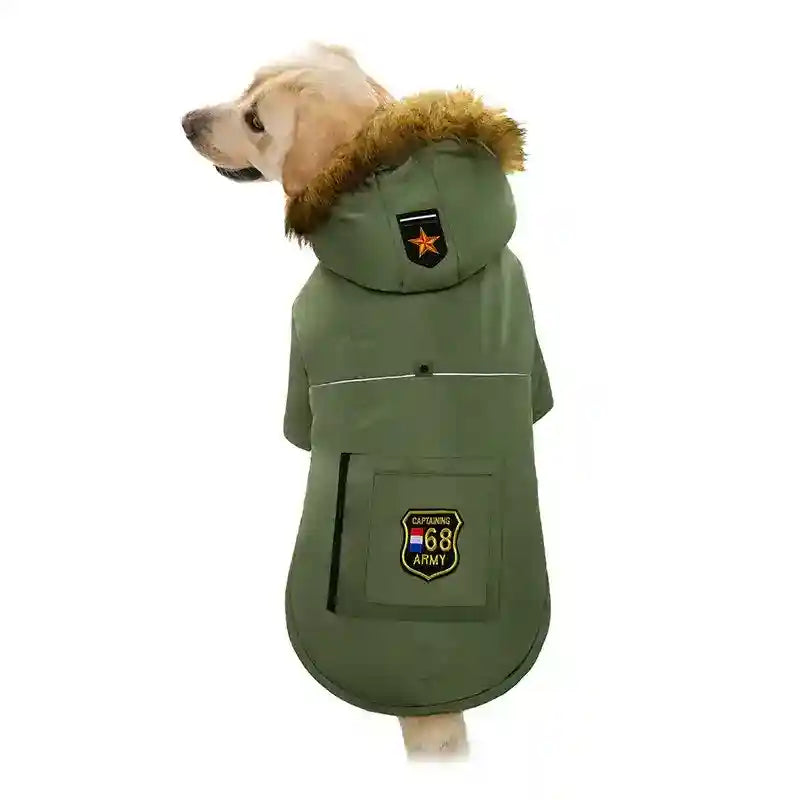 Golden retriever wearing green army-style dog coat with faux fur hood and patches