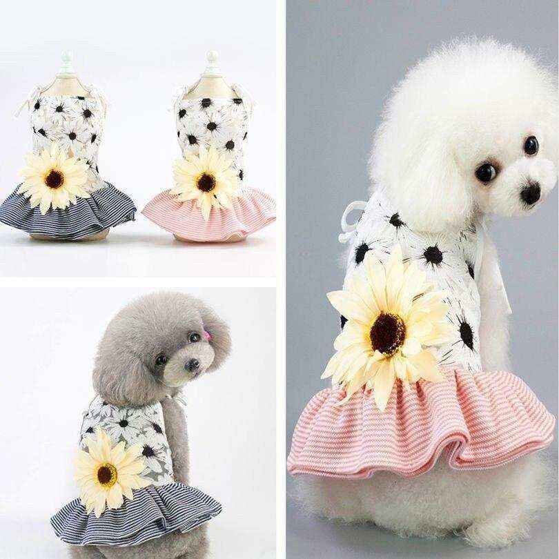 Small dogs wearing floral dog dresses with sunflower and striped ruffle skirt in pink and blue