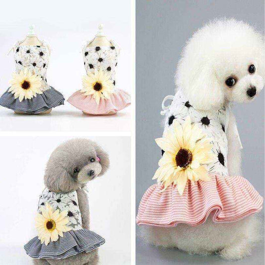 Small dogs wearing floral dog dresses with sunflower and striped ruffle skirt in pink and blue