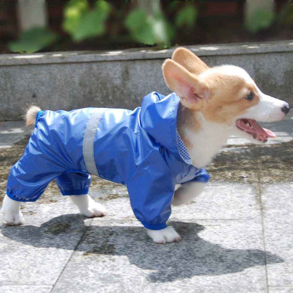 Impermeabile per Cani e Bassotto "RainStar" – Stile e Protezione per Tutti i Cani by Dog Moda