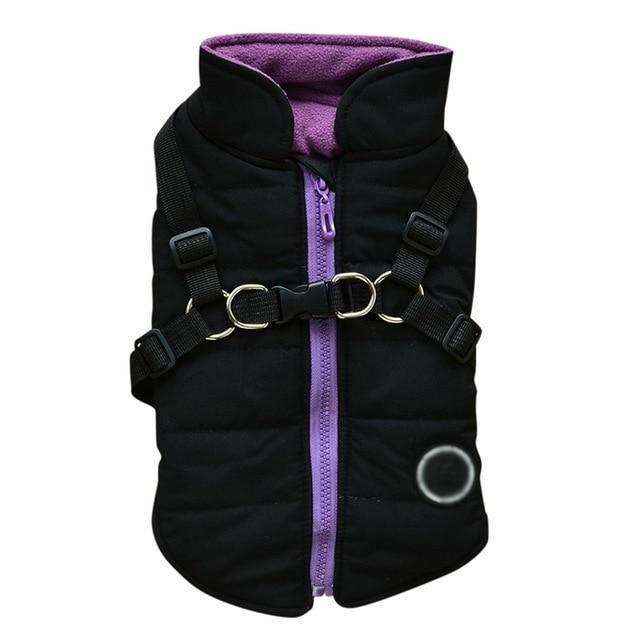 Black and purple dog harness jacket with adjustable straps and front zipper for small dogs