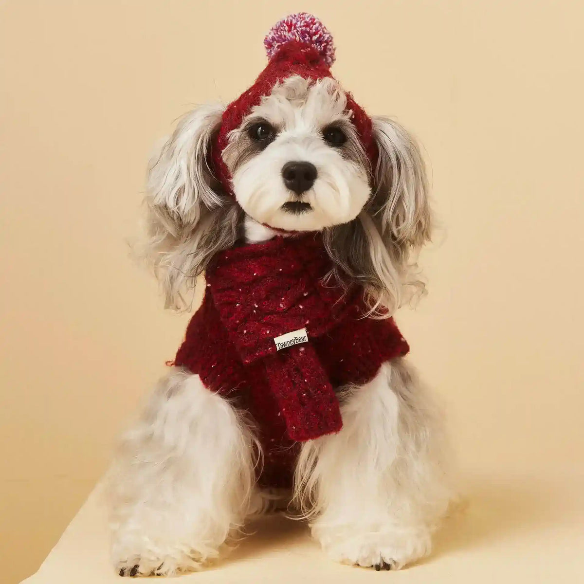 Cappello Sciarpa Cane - Set Lana Inverno Piccola Taglia by Dog Moda
