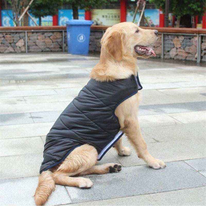 Cappotto Invernale per Cani Retriever - Cotone con Pettorina Integrata