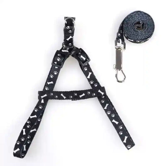 Pettorina a Y per cani taglia piccola Basic by Dog Moda