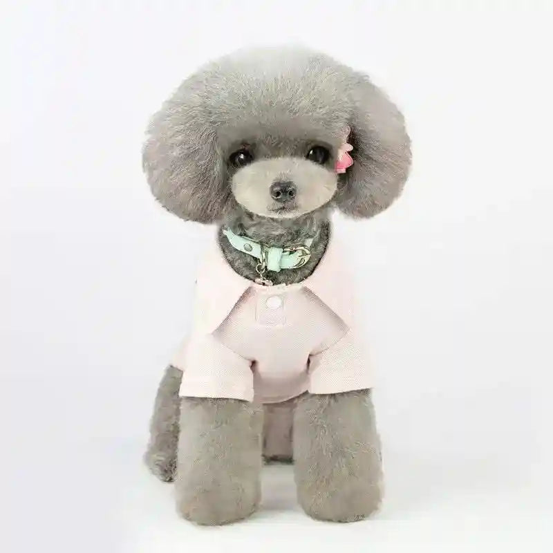Gray poodle dog wearing a light pink shirt and blue collar with a pink bow on ear