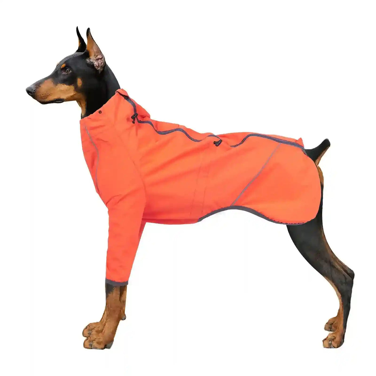 Impermeabile per cani "Tewua" by Dog Moda