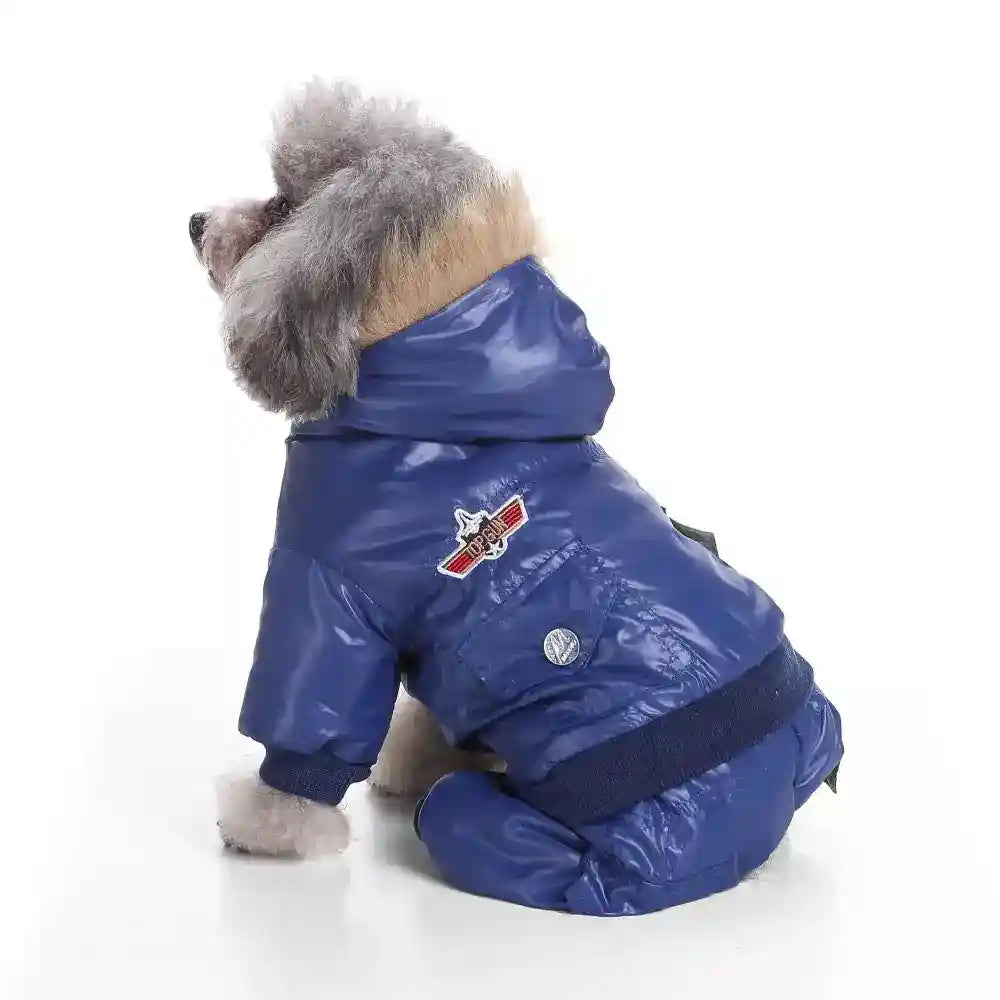 Small dog wearing blue waterproof winter jacket with hood and patch sitting on white background