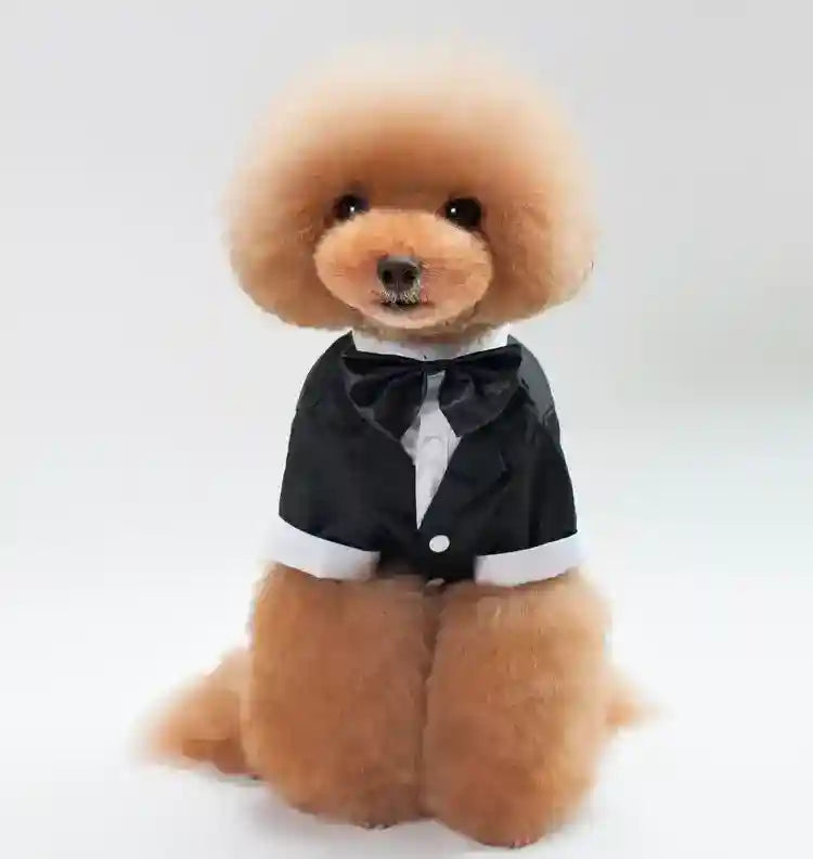 Smoking vestito cerimonia per cani "Filippo" by Dog Moda