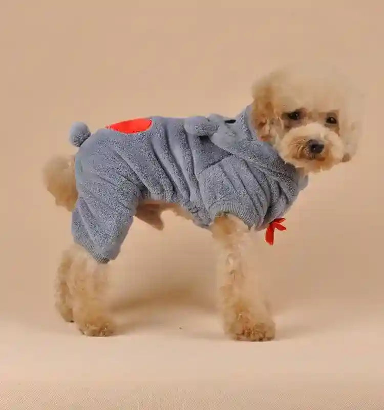 Small poodle dog wearing a cozy gray fleece jumpsuit with a red heart patch on beige background