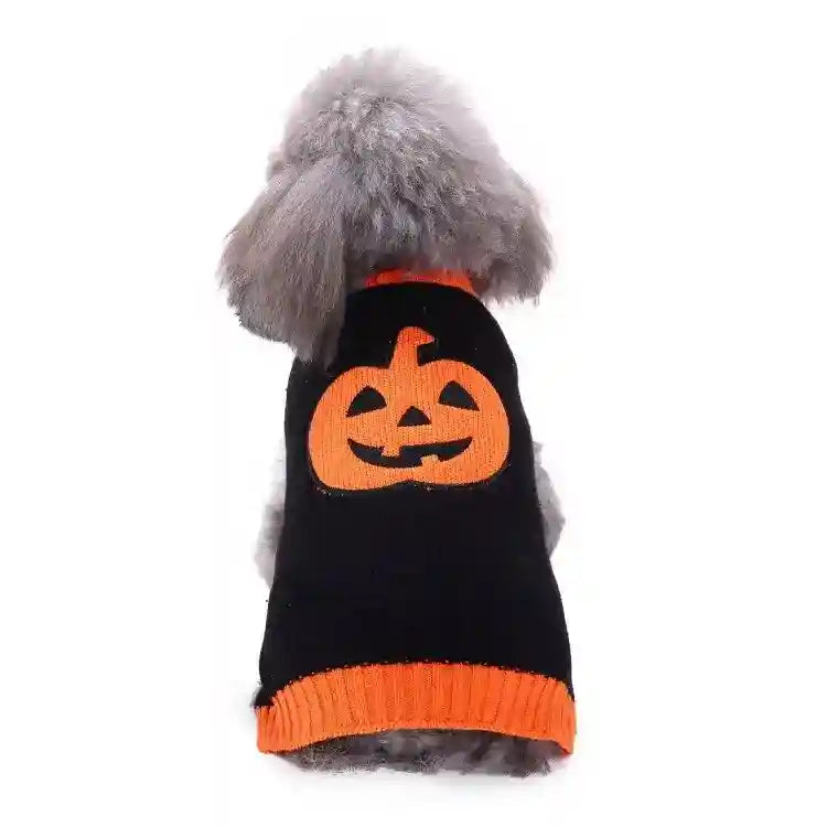 Gray dog wearing black Halloween sweater with orange jack-o'-lantern design on back