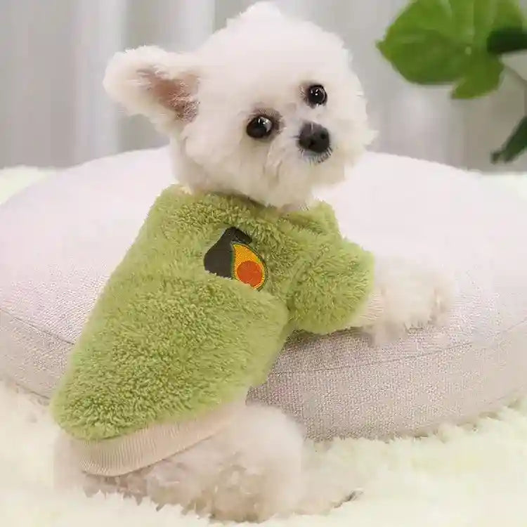 Small white dog wearing soft green fleece sweater with avocado patch sitting on pale cushion