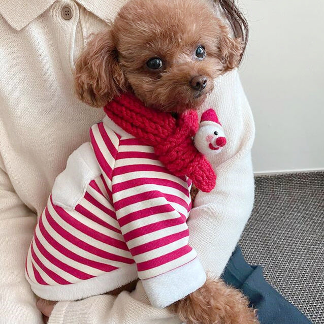 Christmas Dog Hoodie with Scarf | Red and White Stripes with 3D Pocket