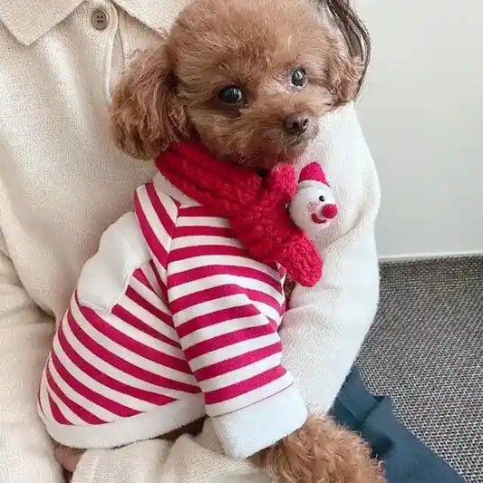 Felpa Natalizia per Cani con Sciarpa | Righe Rosse e Bianche con Tasca 3D by Dog Moda